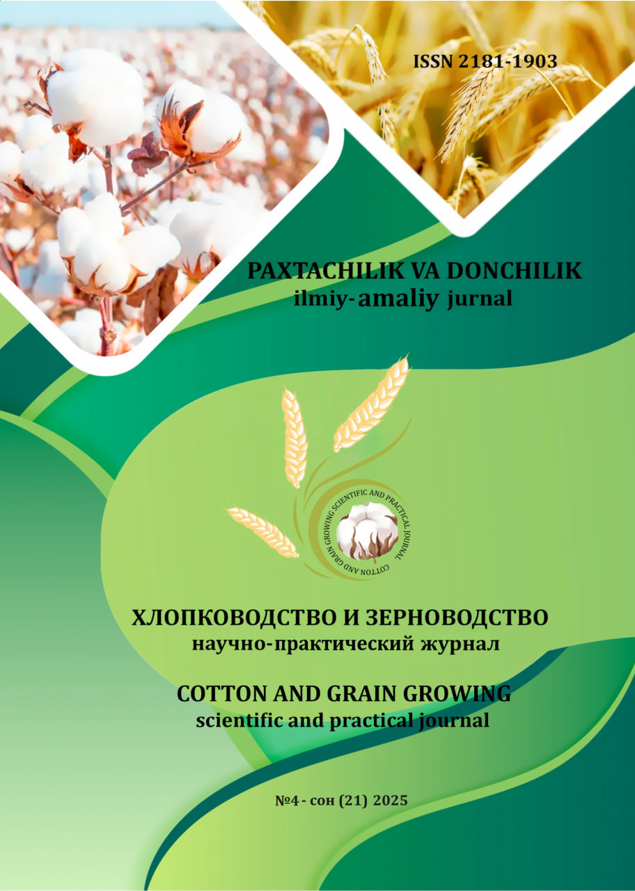 					View No. 4 (2025): COTTON AND GRAIN GROWING
				